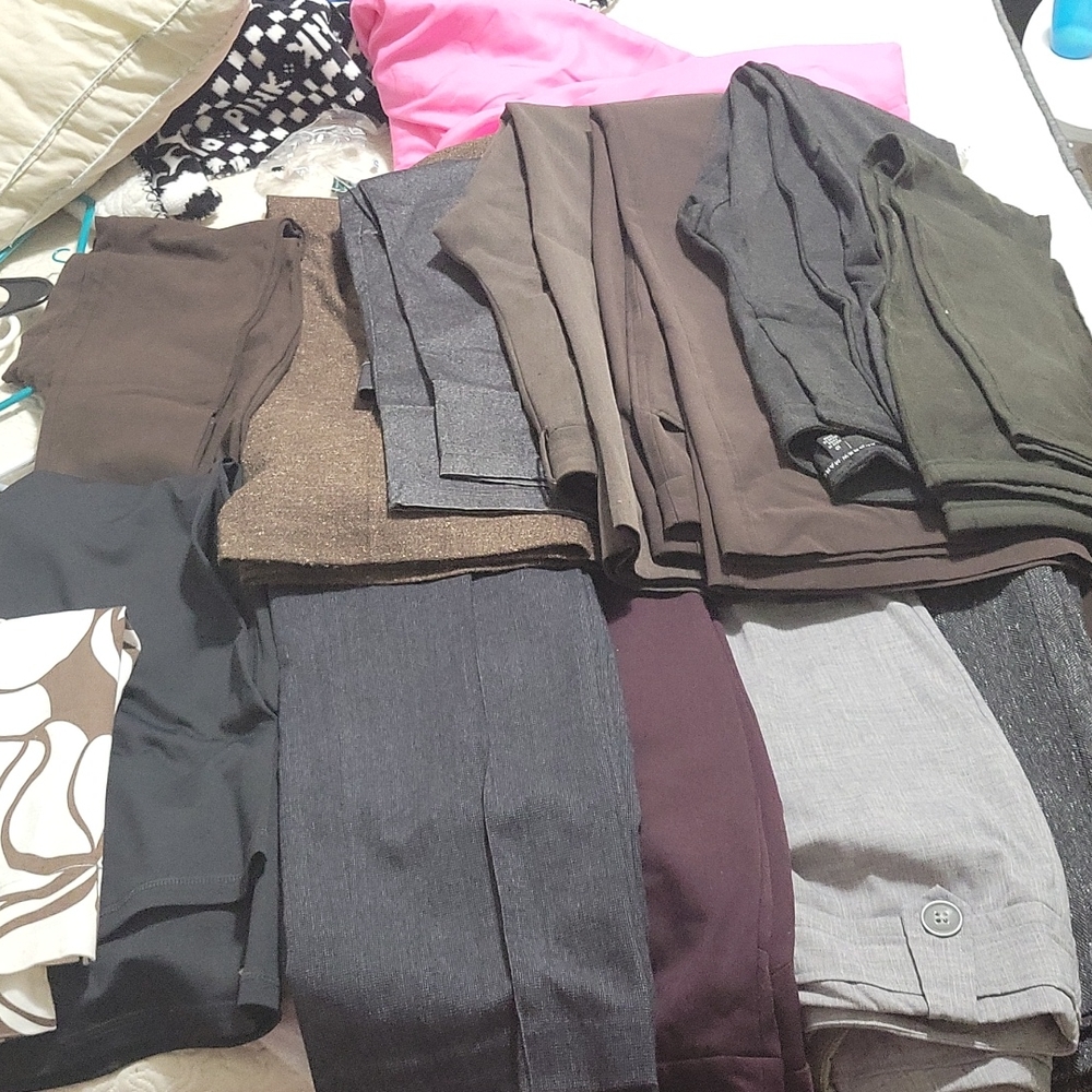Dress pants